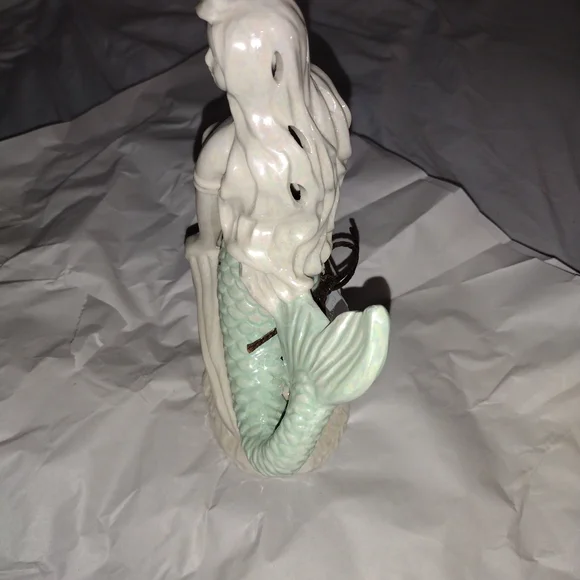 diffuser - Picture 3 of 9